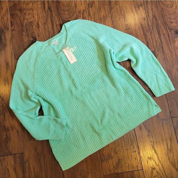 NWT Sonoma Chunky Knit Mint Sweater - Picture 9 of 9